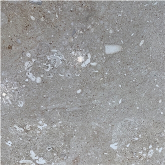 Pietra di Vicenza Grigio