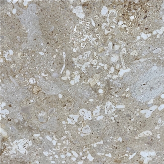 Pietra di Vicenza Limestone Tile