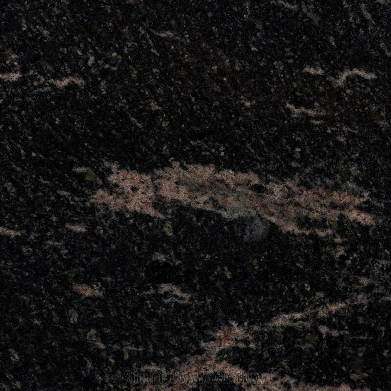 Paradis Gneiss Polished Tiles
