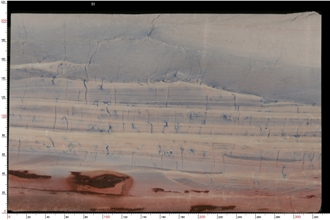 New Azul Macaubas Quartzite Slabs