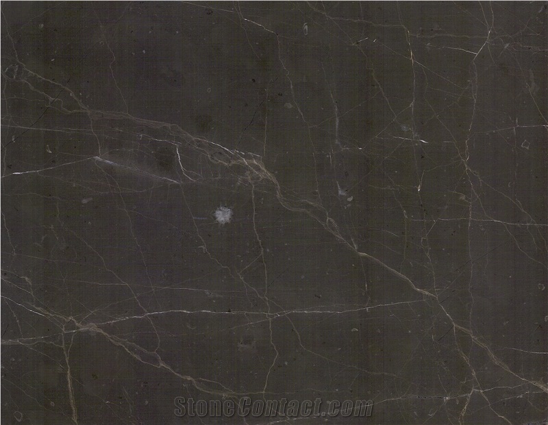 Cafe Olive Marble Polished And Honed Slabs, Tiles