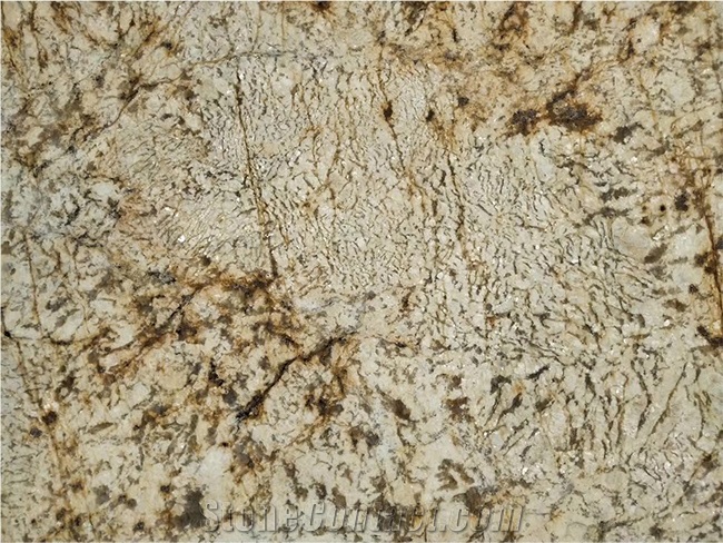 Bahamian Gold Granite Slabs