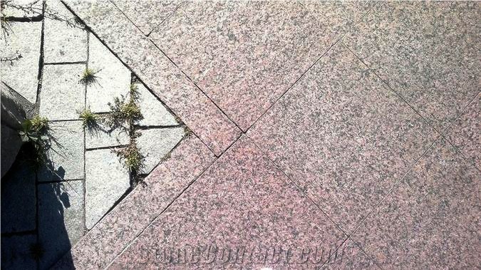 Sawn Cut Granite Walkway Paving Slabs