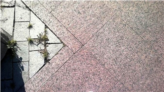 Sawn Cut Granite Walkway Paving Slabs