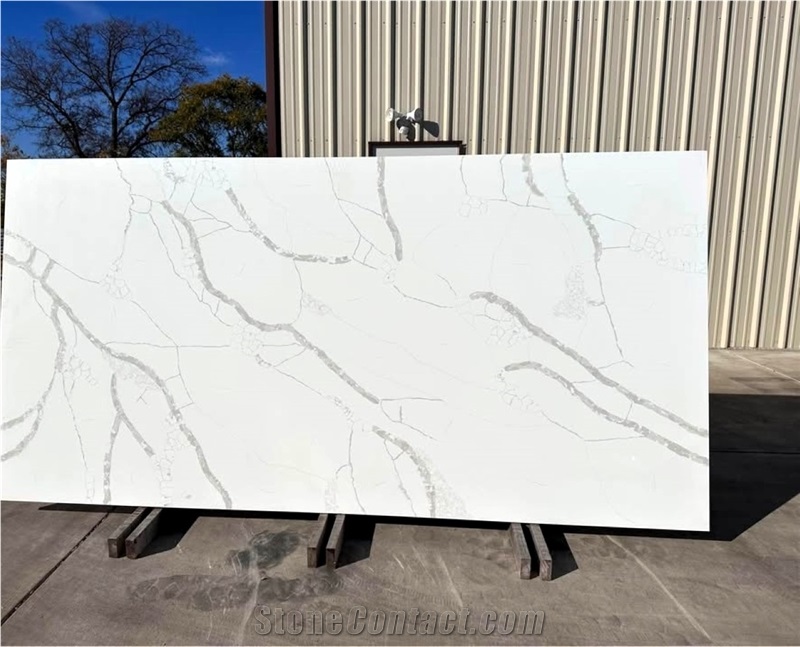 Calacatta Maywood Quartz Slabs