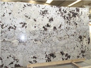 India Alaska White Granite Slabs
