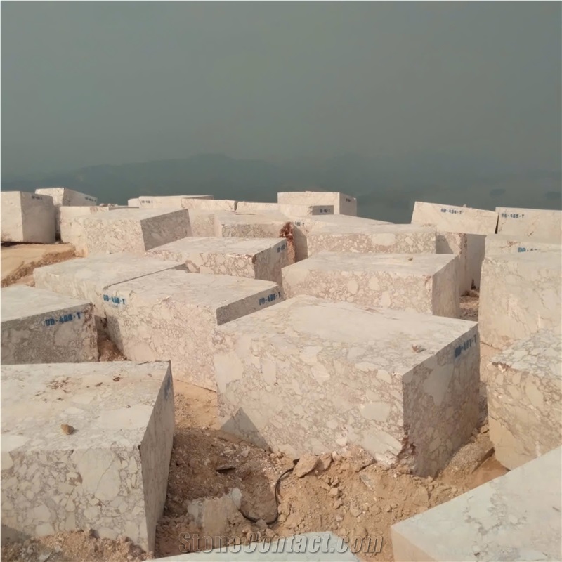Calacatta Viola Red Marble Slabs Cheap Price Factory