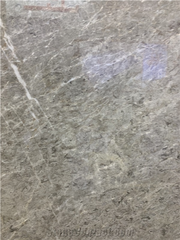 Lotus Grey Marble Polished Slabs