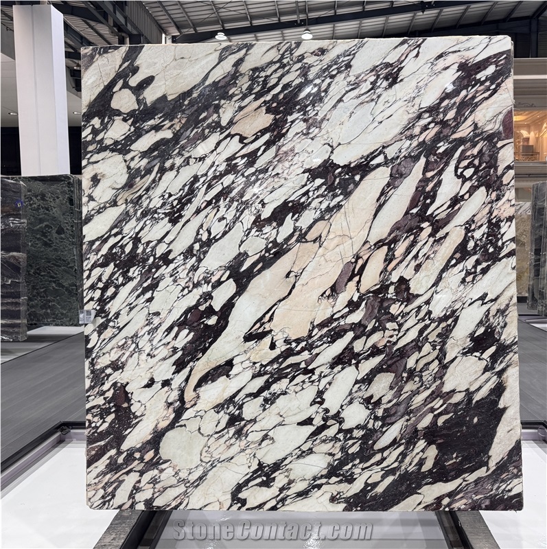 Bvlgari Purple Marble Slab Calacatta Purple Tiles
