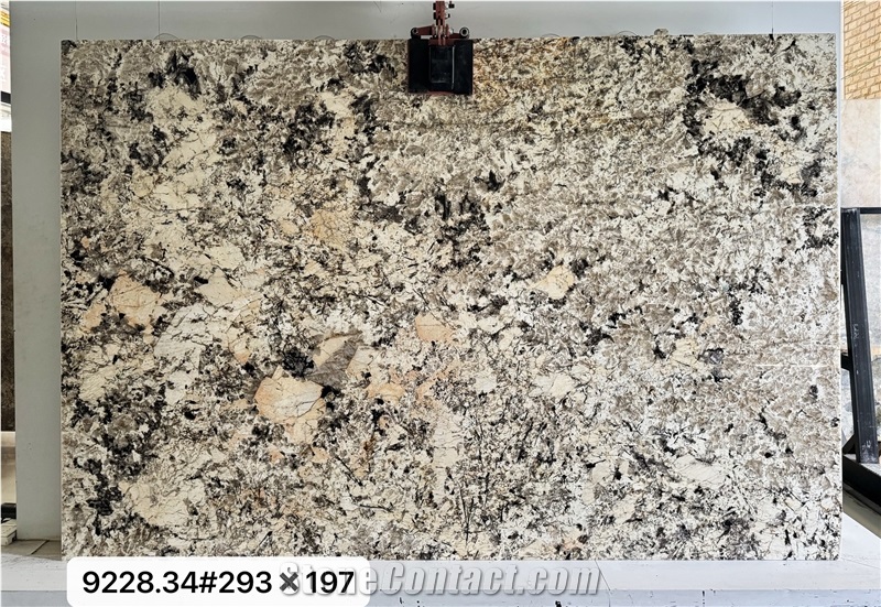 Pandora Quartzite  House Decor Stone Slabs