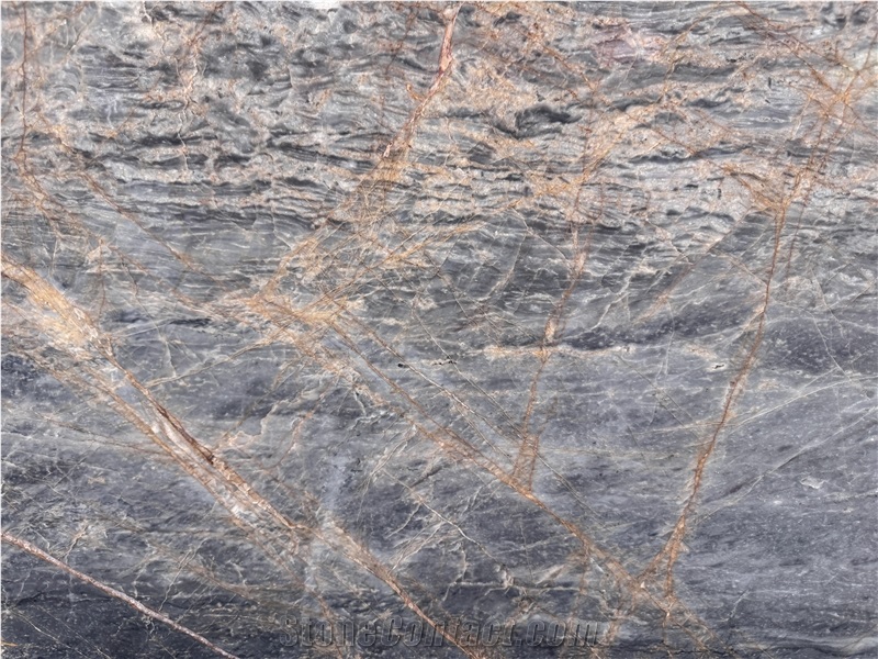 Provence Grey Marble With Gold Veins Slabs  Pattern