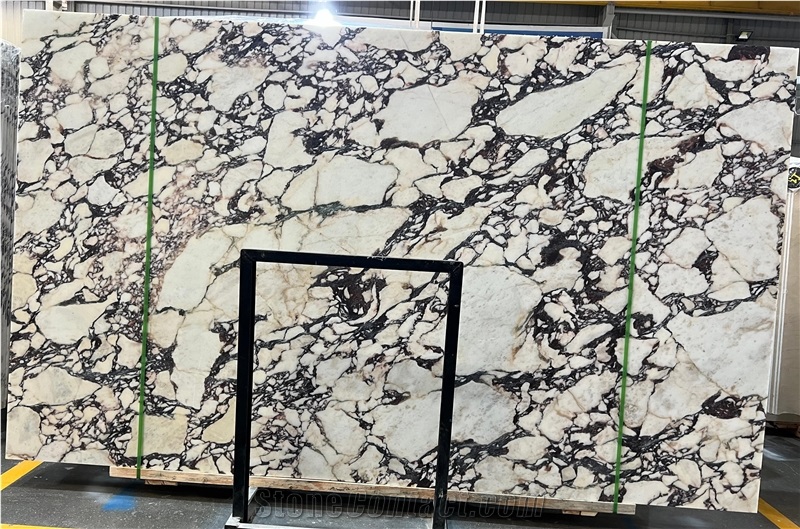 Calacatta Viola Italy Marble Slabs, Marble Tiles