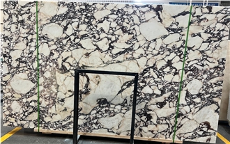 Calacatta Viola Italy Marble Slabs, Marble Tiles