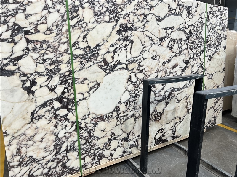 Calacatta Viola Italy Marble Slabs, Marble Tiles