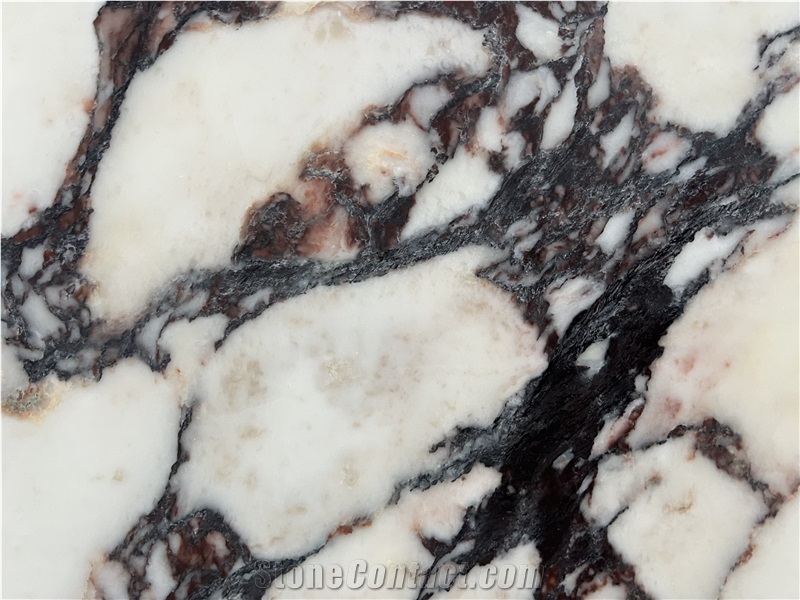 Calacatta Viola Italy Marble Slabs, Marble Tiles