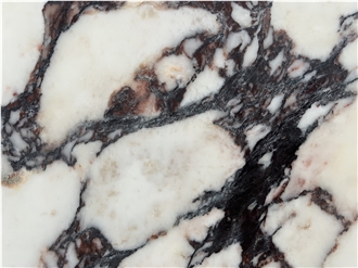 Calacatta Viola Italy Marble Slabs, Marble Tiles
