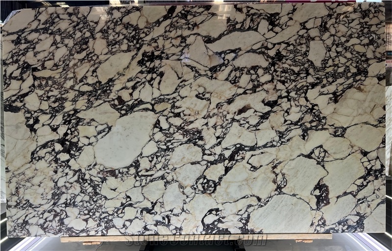 Calacatta Viola Italy Marble Slabs, Marble Tiles