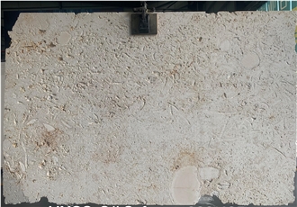 Dominican White Coral Stone Slabs