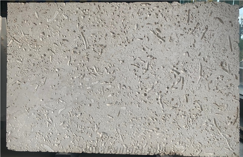 Dominican White Coral Stone Slabs