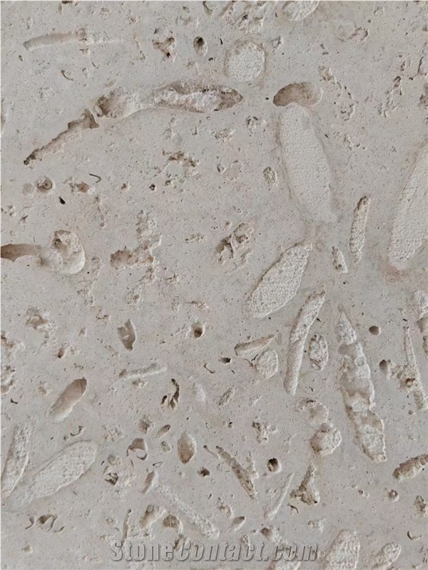 Dominican White Coral Stone Slabs