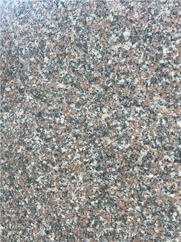 New Rosa El Nasr Granite Slabs