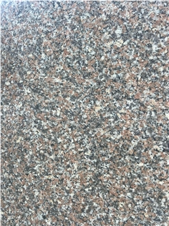 New Rosa El Nasr Granite Slabs