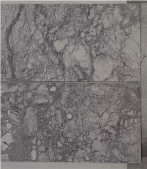 Super White Grey Veins Quartzite Slab For Wall Floor Tiles