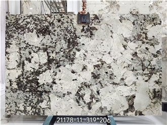Splendor White  Granite Slabs