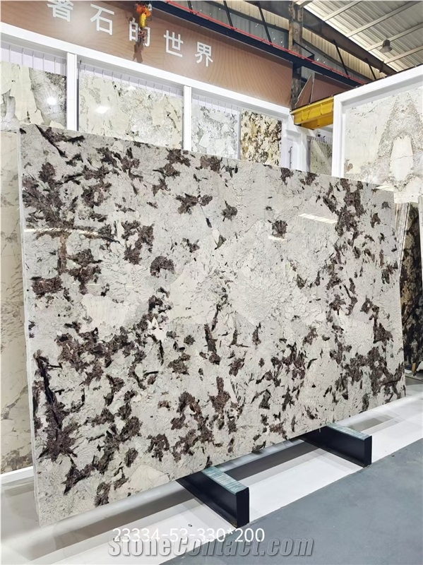 Splendor White  Granite Slabs