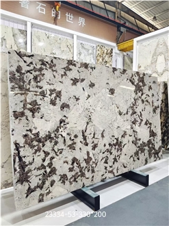 Splendor White  Granite Slabs