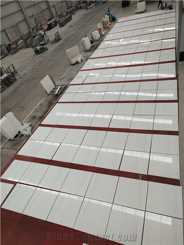 GOLDTOP Permium Venice White Marble Tiles