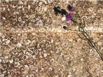 Borealis Limestone Tiles Borealis Limestone Tiles