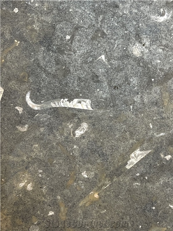 Vaeo Kivi - Kunda Golden Limestone Tiles