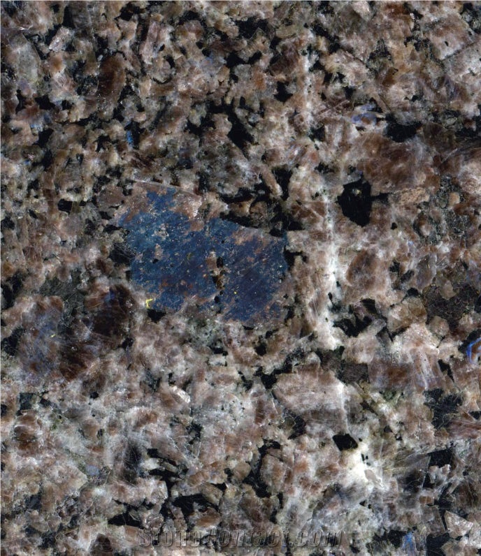 Arctic Brown Granite Polished Slabs And Tiles