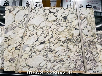 Calacatta Viola Marble Large Slabs Tiles