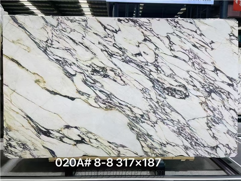 Calacatta Viola Marble Large Slabs Tiles