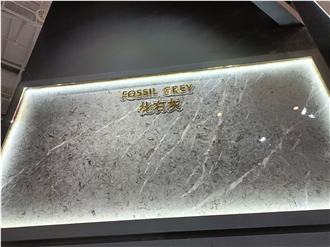 Fossil Grey Marble Slabs Fossil Grey Marble Slabs