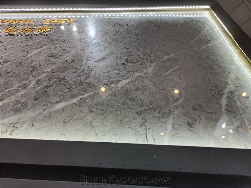 Fossil Grey Marble Slabs