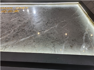 Fossil Grey Marble Slabs