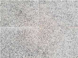 White Granite (Polished /Honed) Floor Tile White Granite (Polished /Honed) Floor Tile