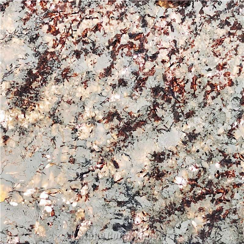 Snow Mountain Silver Fox Granite Slabs