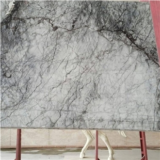 Black Eagle White Marble Slab