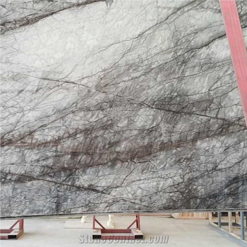Black Eagle White Marble Slab