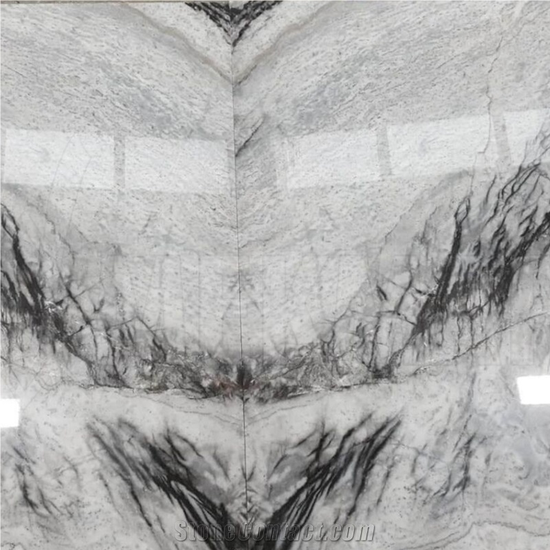 Black Eagle White Marble Slab