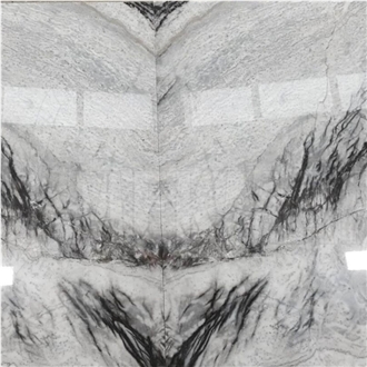 Black Eagle White Marble Slab