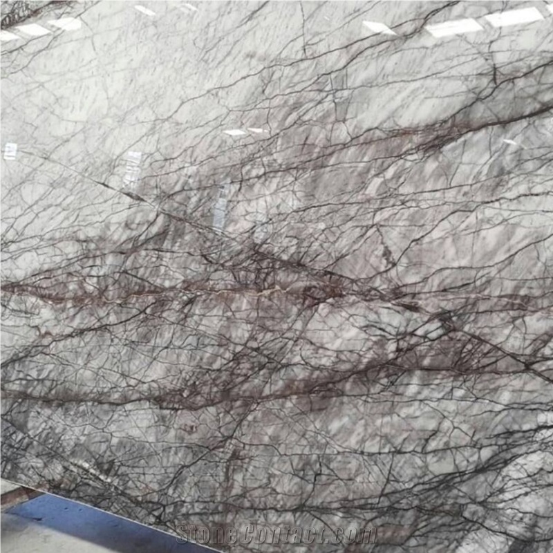 Black Eagle White Marble Slab