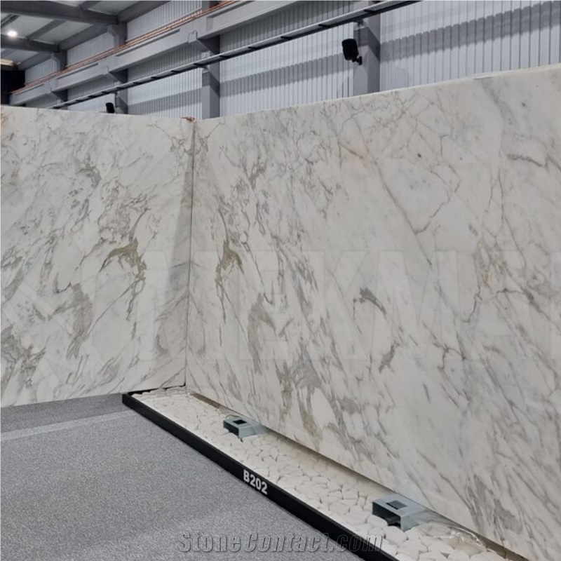 Turkish Calacatta Marble Slab