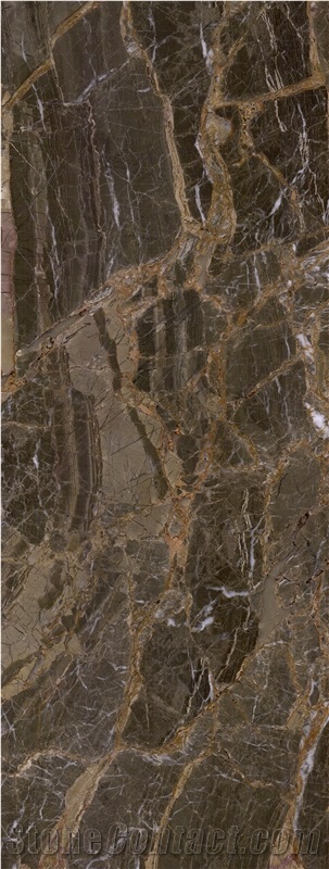Icon Brown Marble Polished Slabs And Tiles