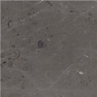 Atlas Grey Marble Tile