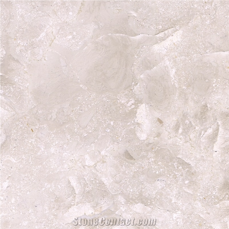 Coconut Beige Marble importance=